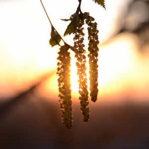pädagogischer Teamtag natuerlich-wolf.de