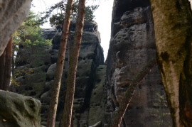 Auf den Spuren der Bären, www.natuerlich-wolf.de