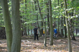 natuerlich wolf kinder geburtstage wald