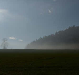 Abenteuer Wald www.natuerlich-wolf.de