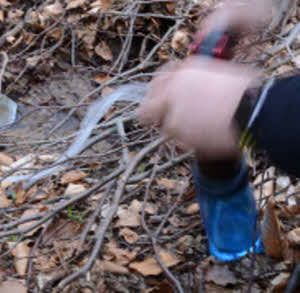 Survival Waldabenteuer www.natuerlich-wolf.de