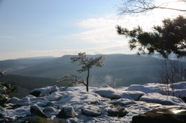 Naturwerkstatt Winter