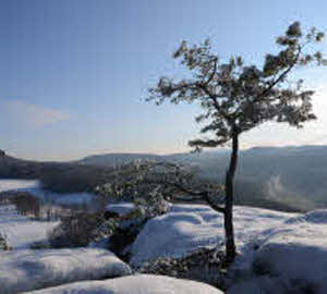 Schulwaldweihnacht  www.natuerlich-wolf.de